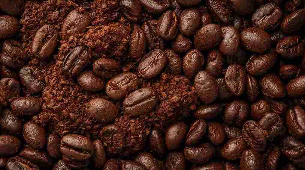 Qual o Melhor Café Torrado e Moído? Top 10 Melhores em 2025 18 Cafe Torrado e Moido 2