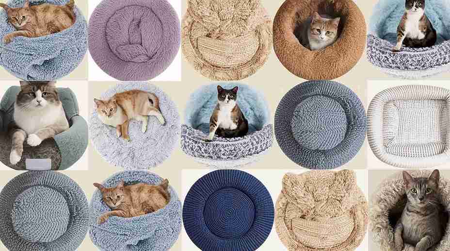 Camas de Gato 2 11zon
