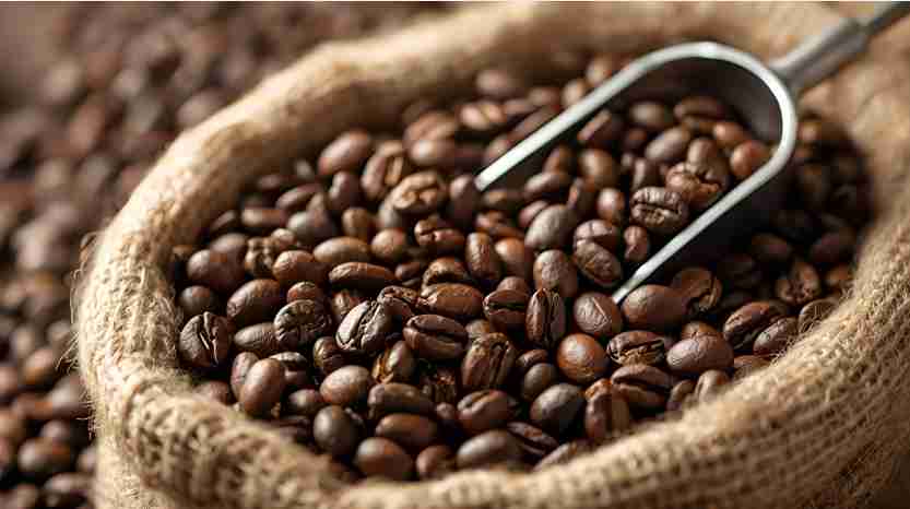 Qual o Melhor Café Grãos? Top 10 Melhores em 2025 1 Captura de tela 2025 09 20 171636 11zon