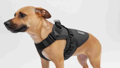 Melhor Coleira para Cachorro peitoral 1 11zon