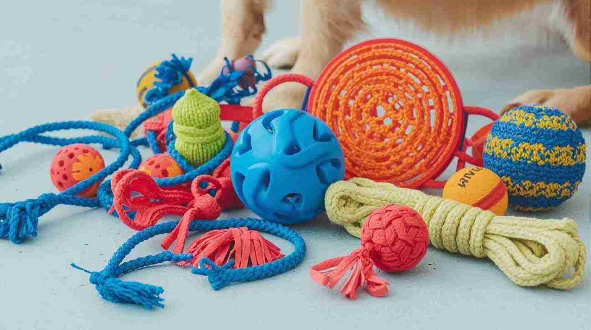 Melhores Brinquedos para Caes Grandes 2 1